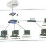 Computer Studies Practice Tests – Networking (Questions with Answers and Explanations)